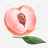 十大看b站直播的平台APP应用