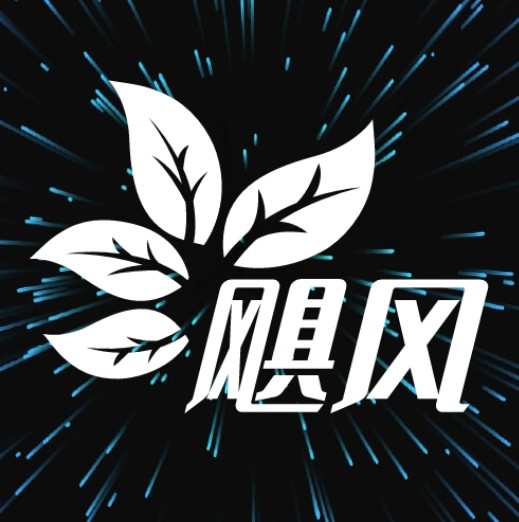 成人看视频APP应用
