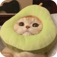 快播app图片